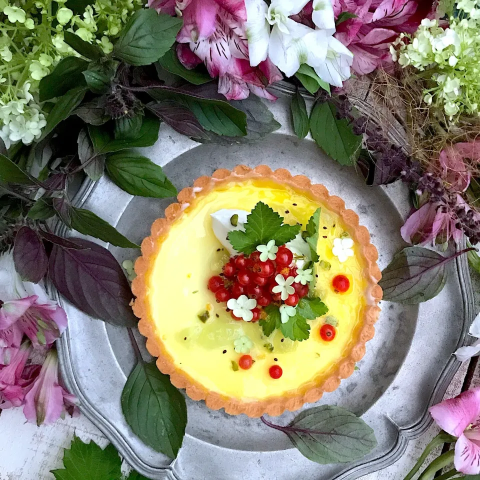 Lemon Card Tart🍋
with Redcurrant & Kiwi gelée
レモンカードタルト
レッドカラントとキウイのジュレ|⋆͛*͛wandering.cat⋆͛*͛さん