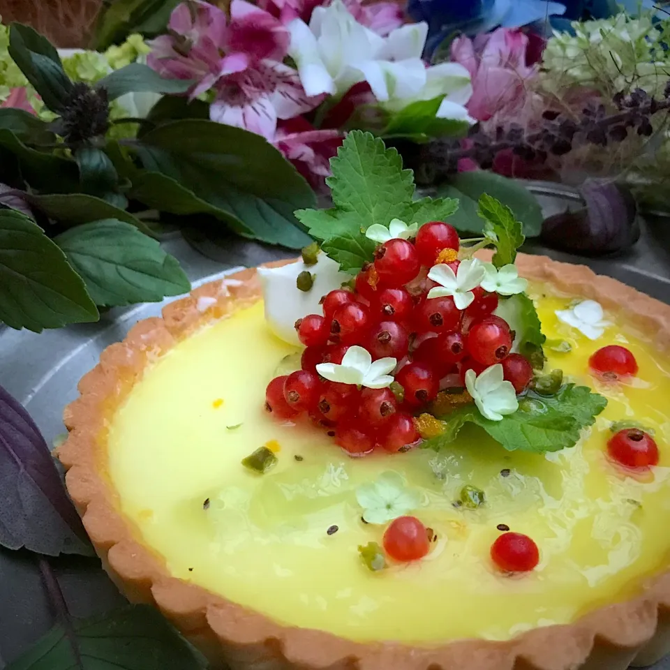 Lemon Card Tart🍋
with Redcurrant & Kiwi gelée
レモンカードタルト
レッドカラントとキウイのジュレ|⋆͛*͛wandering.cat⋆͛*͛さん