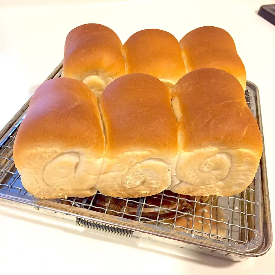 食パン🍞|あーしょかぽんさん