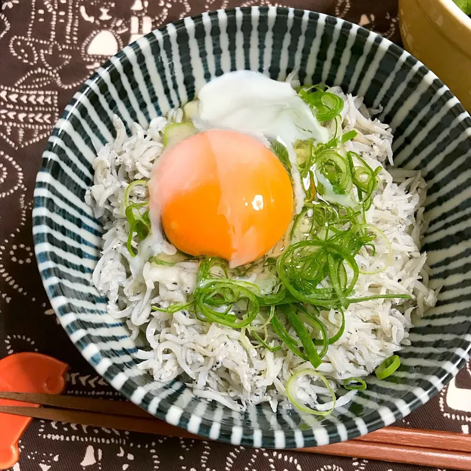 しらす丼|あさかさん