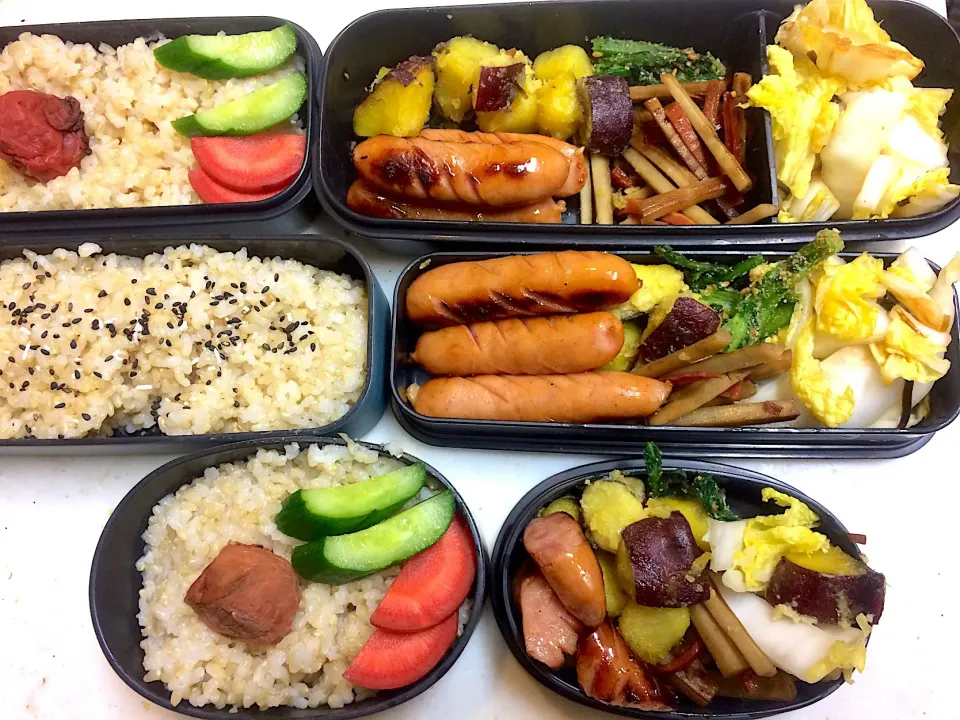 #今日のお弁当 ソーセージ、さつまいものサラダ、きんぴらごぼう、春菊のごま和え、白菜の塩昆布漬|Victoryageさん