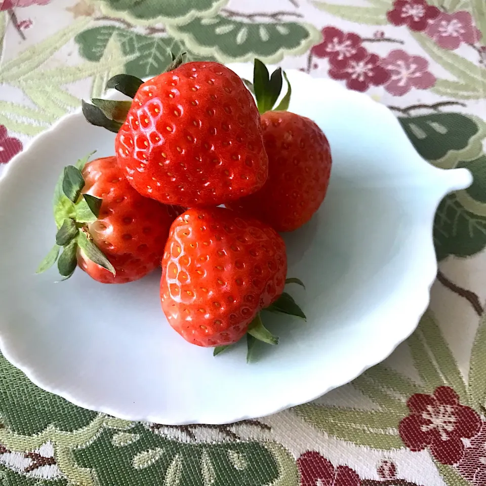 Snapdishの料理写真:越後姫🍓|ちこさん