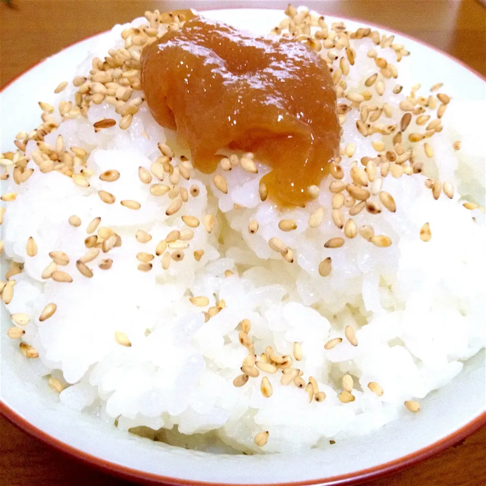 炊きたてご飯に🍚柚子味噌💛|まいりさん