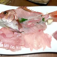 Snapdishの料理写真:【釣料理】刺し盛り 真鯛 ヒラメ メバル|ひろしんさん