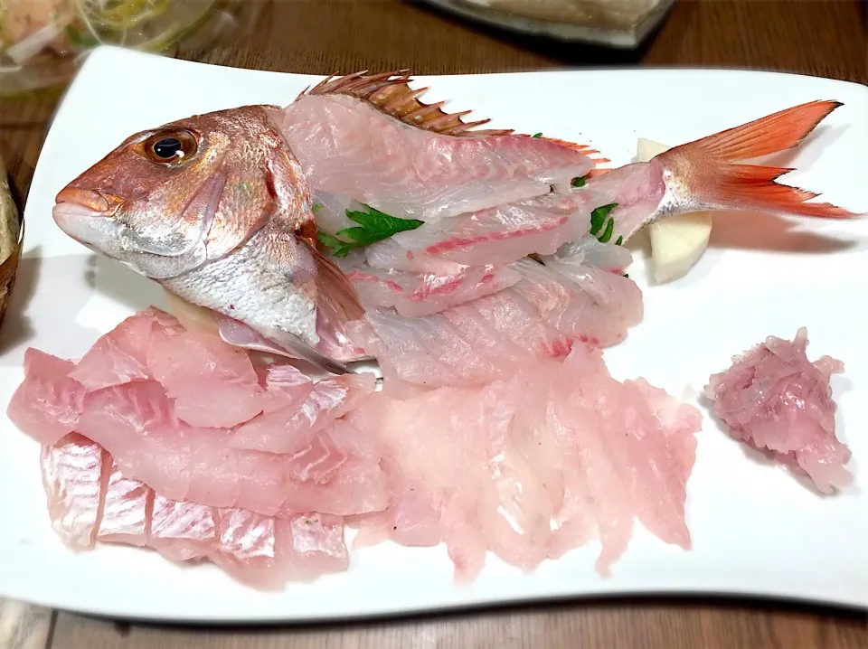 【釣料理】刺し盛り 真鯛 ヒラメ メバル|ひろしんさん