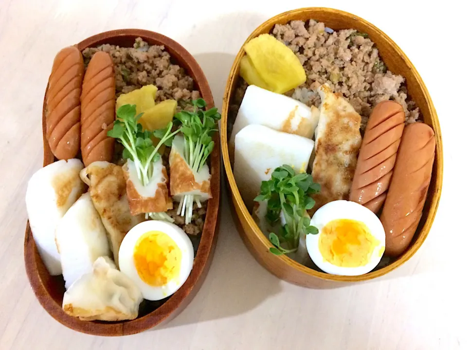 Snapdishの料理写真:今日の男子弁当🍱 2018年1/9
#そぼろ弁当  #茹でタマゴ  #ウィンナー #ハンペン焼 #餃子 #カイワレ竹輪|Booパパさん