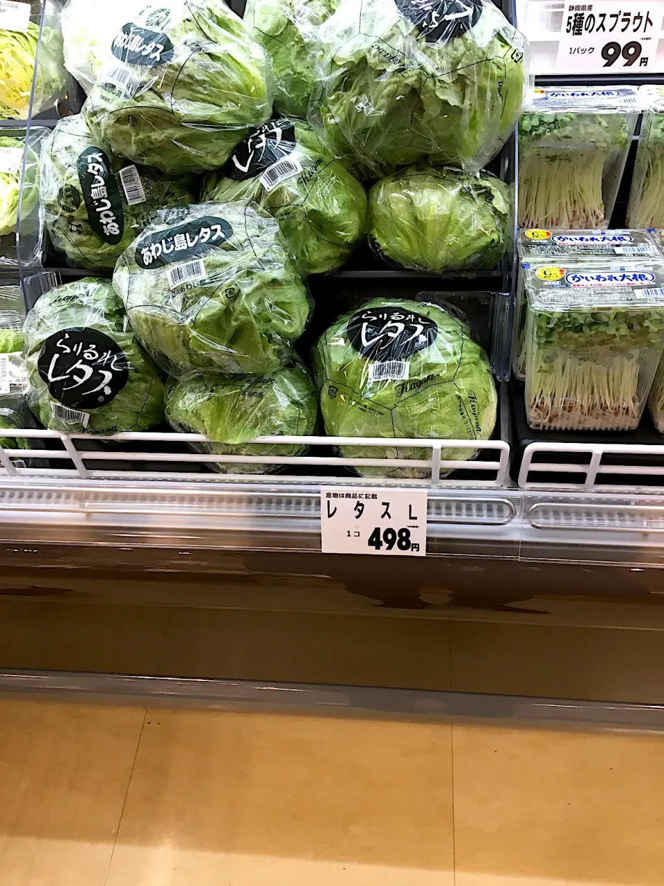 レタス #高い💰（笑） 
#誰買うの？笑
#肉より高い|えりさん