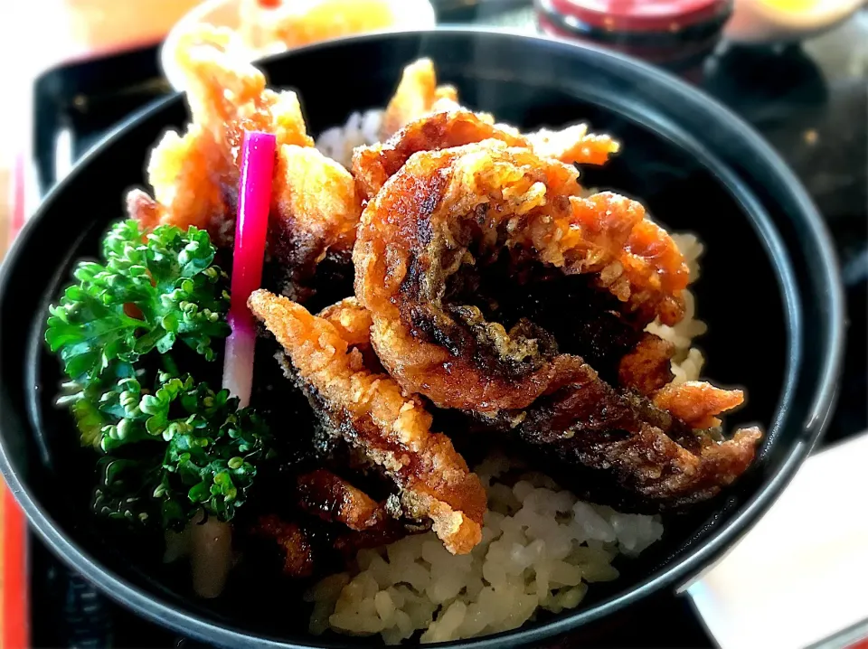 佐久市 三河屋の鯉丼|もうちゃんさん