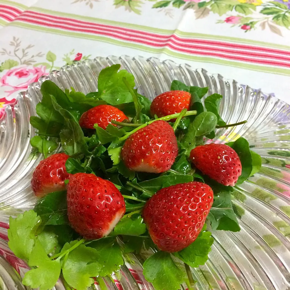 Snapdishの料理写真:🍓とルッコラのサラダ🎶|Mamilyさん