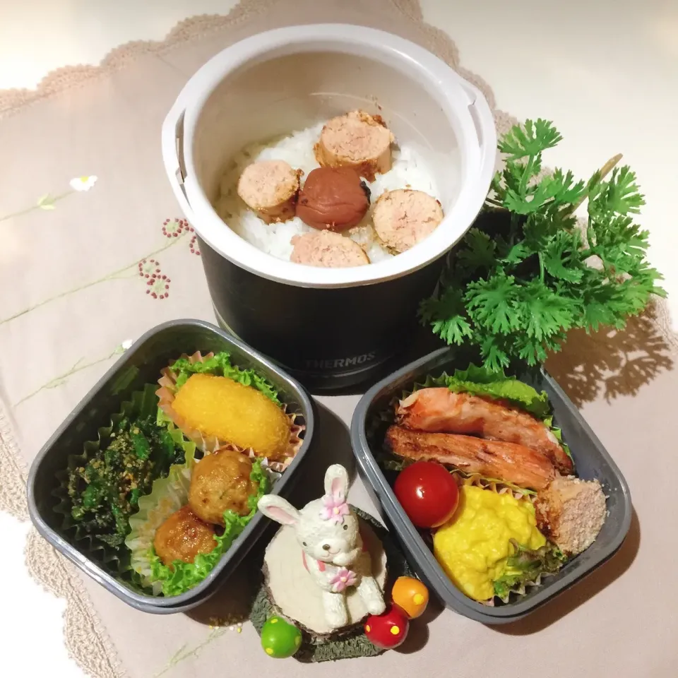 Snapdishの料理写真:1/11❤︎旦那さんの日の丸弁当|Makinsさん