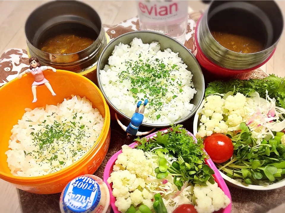 トマト🍅チキンカレー🍛&アスパラとカリフラワーのサラダ🥗の夫婦お弁当♪

 #弁当  #フチ子 #おせちもいいけどカレーもね|桃実さん