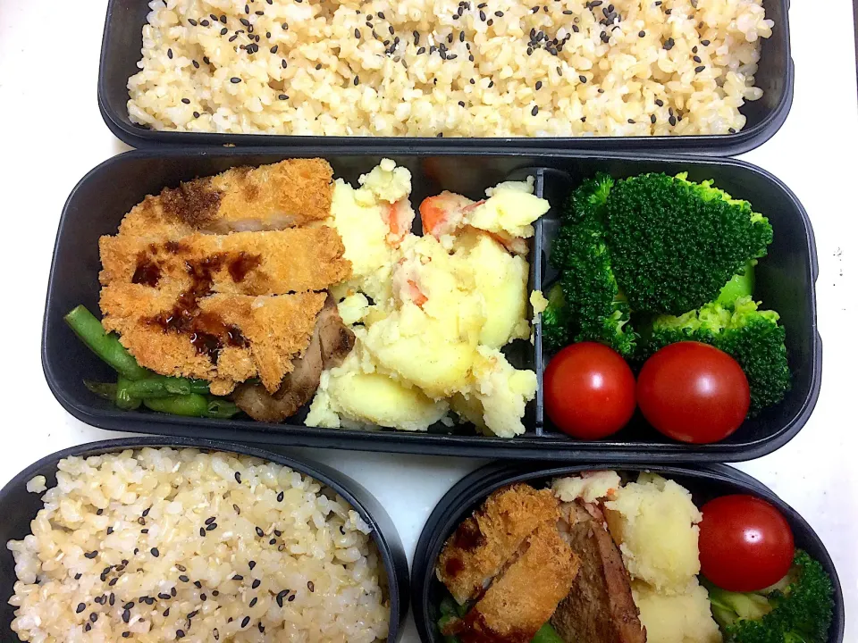 #今日のお弁当 豚カツ、ポテトサラダ、塩茹でブロッコリー|Victoryageさん