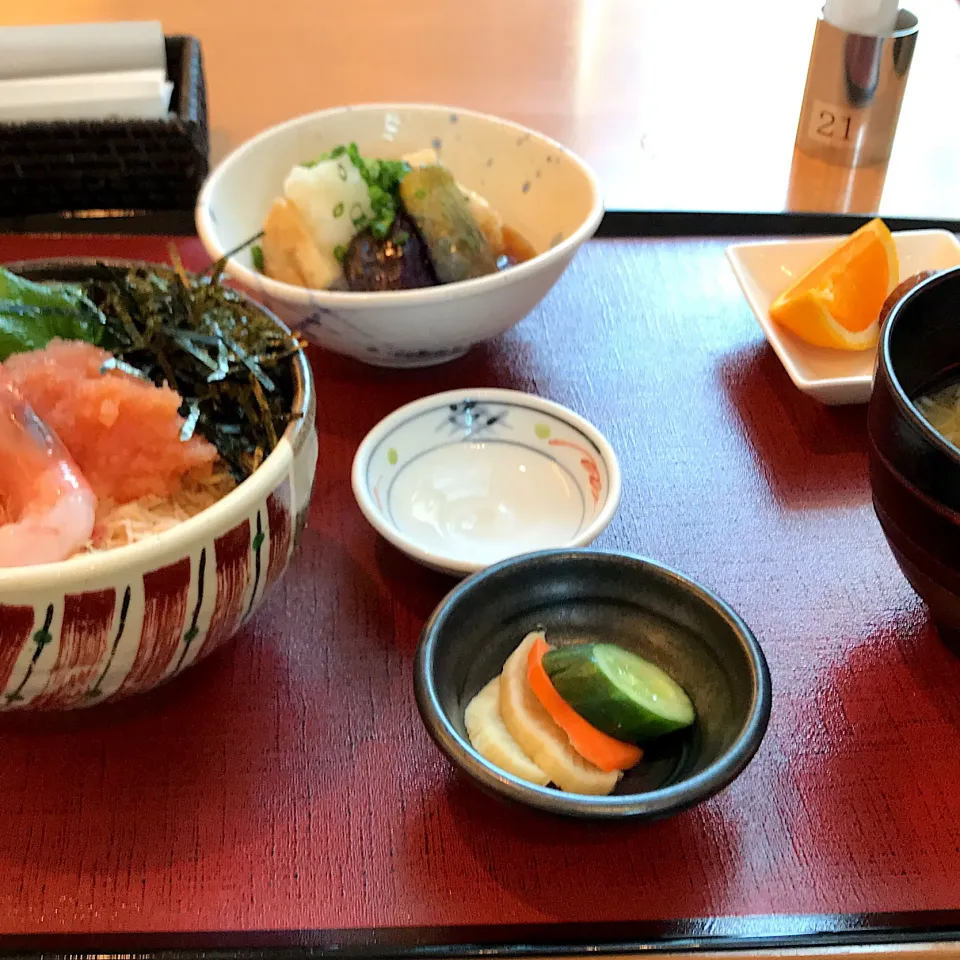 鮭、帆立、明太バラ子 五目丼/茄子と豆腐揚げ出し/味噌汁|山内博之さん