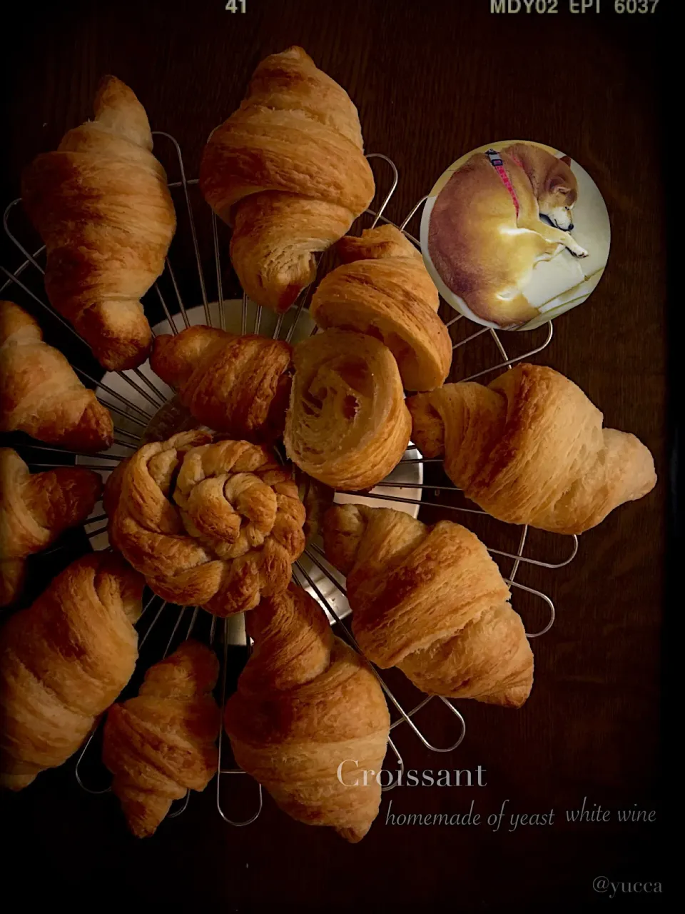 白ワイン酵母 de Croissant🥐  ......Taroissant🐕......（笑）    次女好みの粉配合φ(．．)ﾒﾓﾒﾓ|yucca@さん