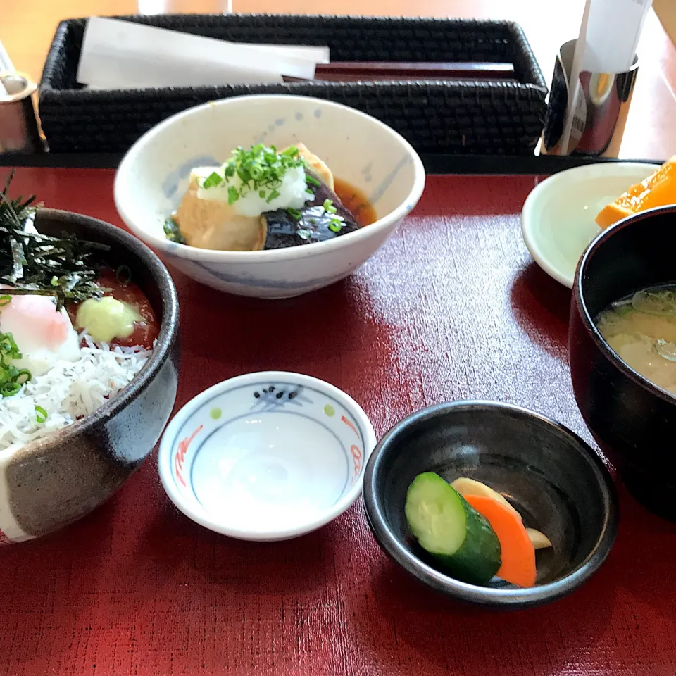 シラスまぐろ丼/茄子と豆腐揚げ出し/味噌汁|山内博之さん