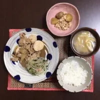 Snapdishの料理写真:豚肉と長芋の炒め物、じゃがいもの肉そぼろ、春雨サラダ、大根の味噌汁|patokoさん