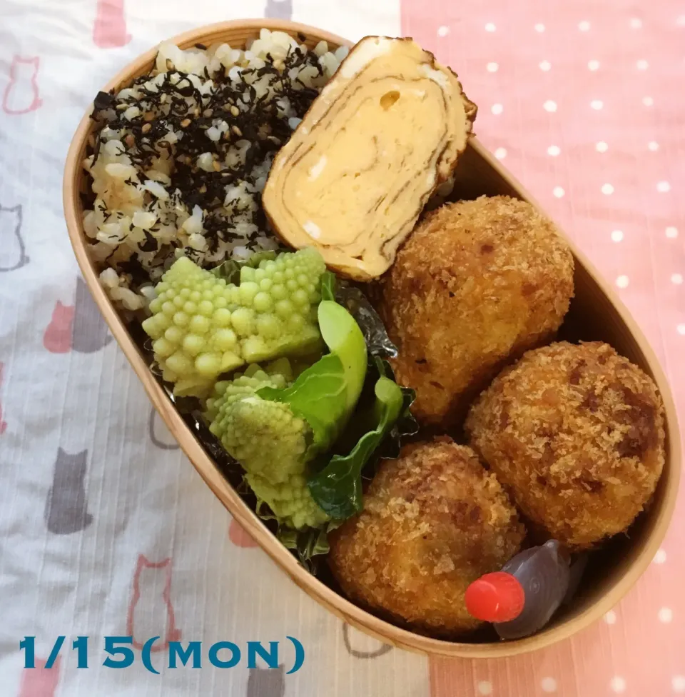 1/15 お弁当|もっちさん