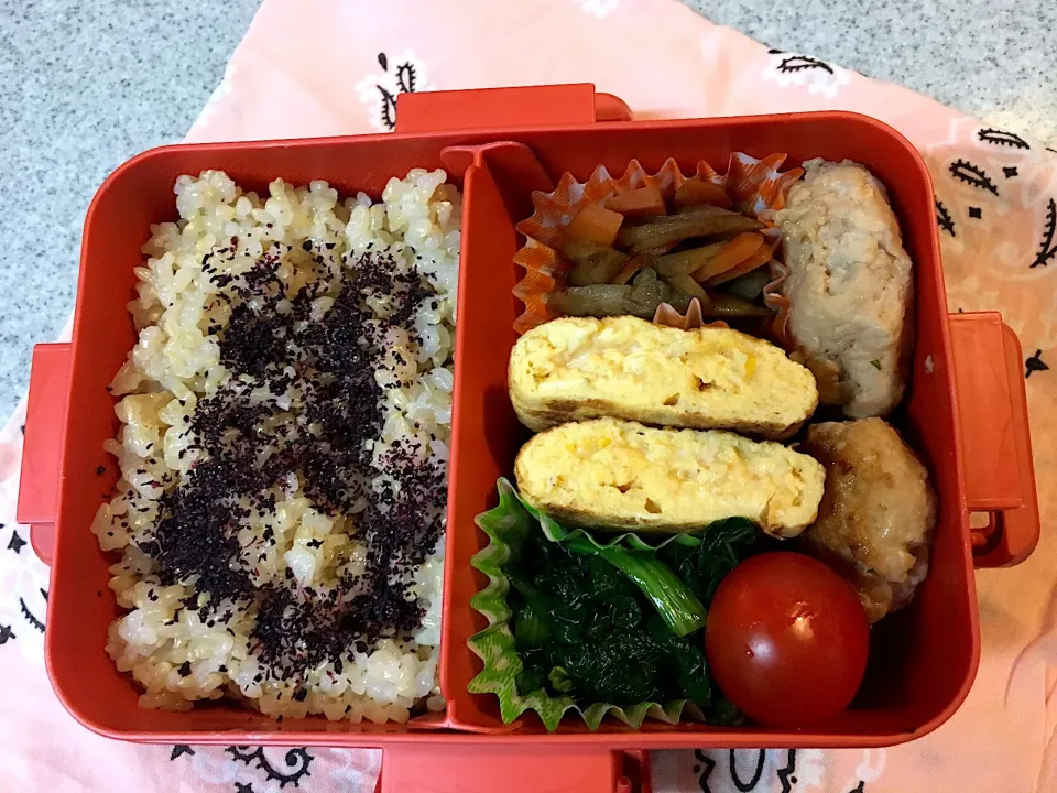 ♫1/16今日のお弁当♫〜鶏つくね照り焼き、だし巻き卵、きんぴら、ほうれん草おひたし、トマト〜|Satokoさん