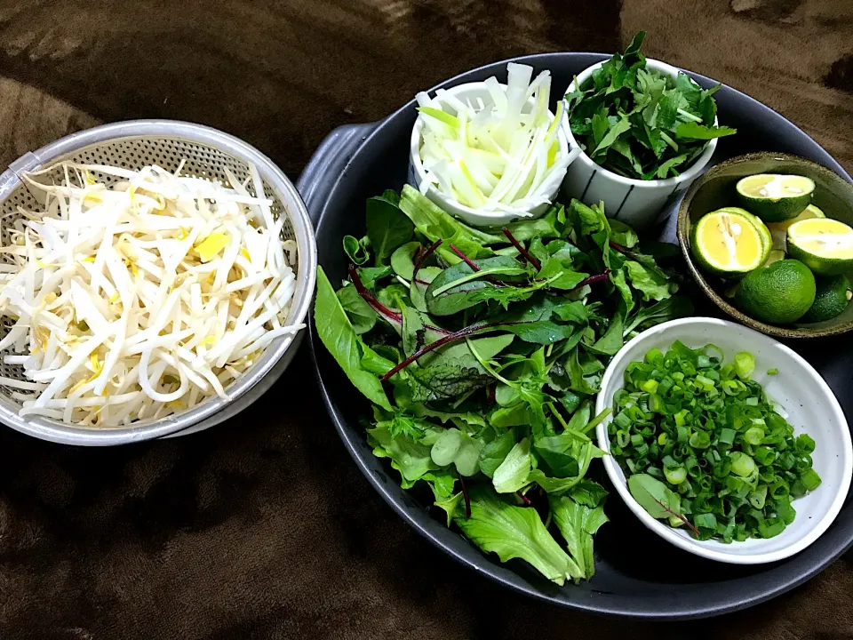 Snapdishの料理写真:Pho 🍲Soup  Added new photo 🍲   All time favorite #cooking #soup #asianfood #soeasy #goodforwinter 😋 🍲 #pho #ricenoodles #vegetables   Good for 6 person 🍲|Food Gardenさん