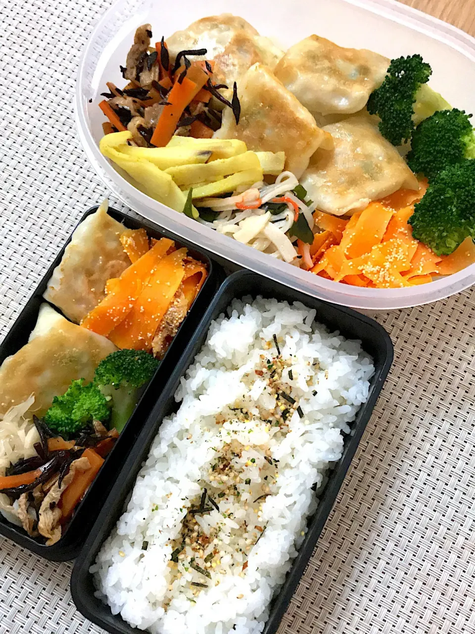 Snapdishの料理写真:ツナ餃子弁当|にいさん