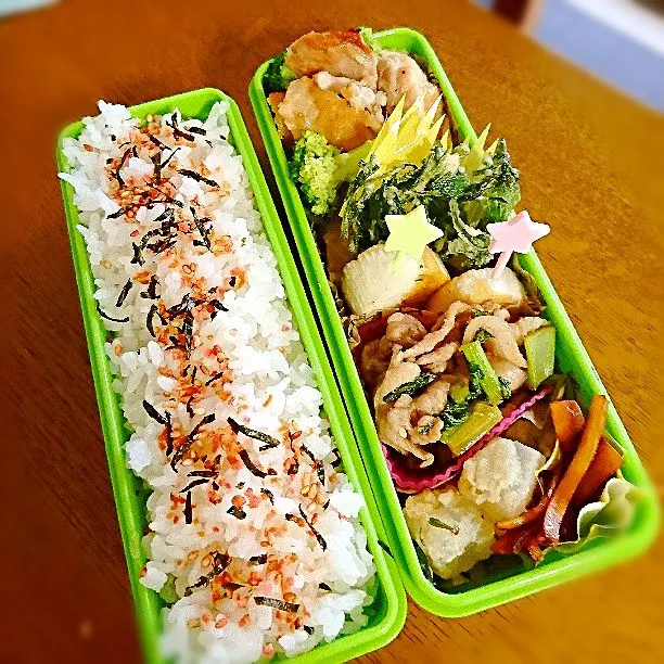 Snapdishの料理写真:1/17 グリルチキンと根菜おかずのお弁当|Reikoさん