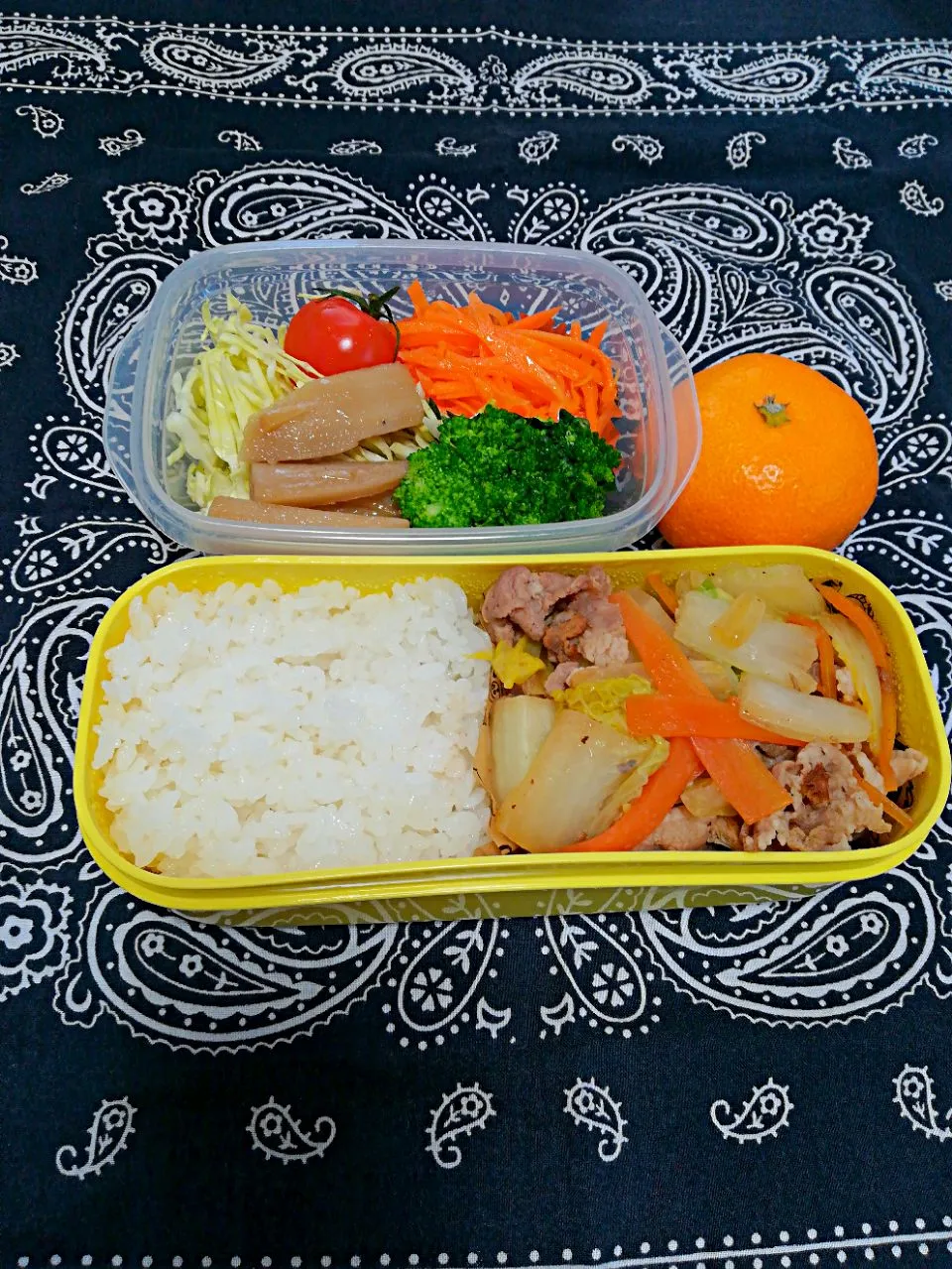 Snapdishの料理写真:豚肉と白菜の甘辛炒め弁当|とにおさん