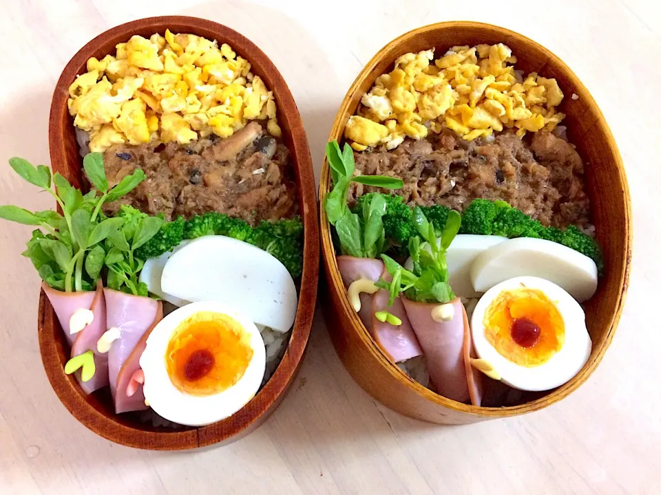 おはようございます😃 今日の男子弁当 2018年1/19 #鯖味噌缶そぼろ #タマゴそぼろ #三色丼 #豆苗ハム巻き #蒲鉾|Booパパさん