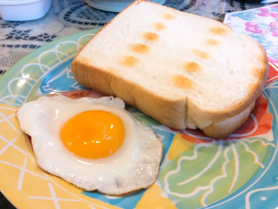 コメダさんの山食パン😋🍞|アライさんさん