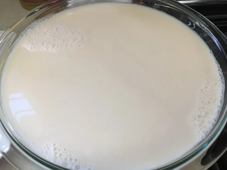 Homemade soy milk|reigineさん