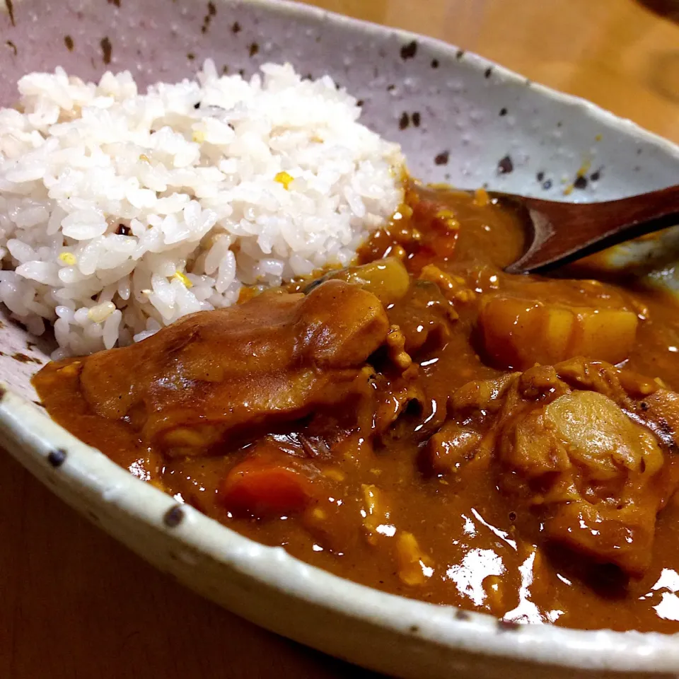 チキンカレー🍛
ぶつ切りとひき肉のダブルキャスト
2018.1.21|Yu Yu mamaさん