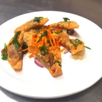 ginger beef wontons with Thai peanut aioli pineapple basil salsa and a sesame soy slaw|Jayson Mccrimmonさん