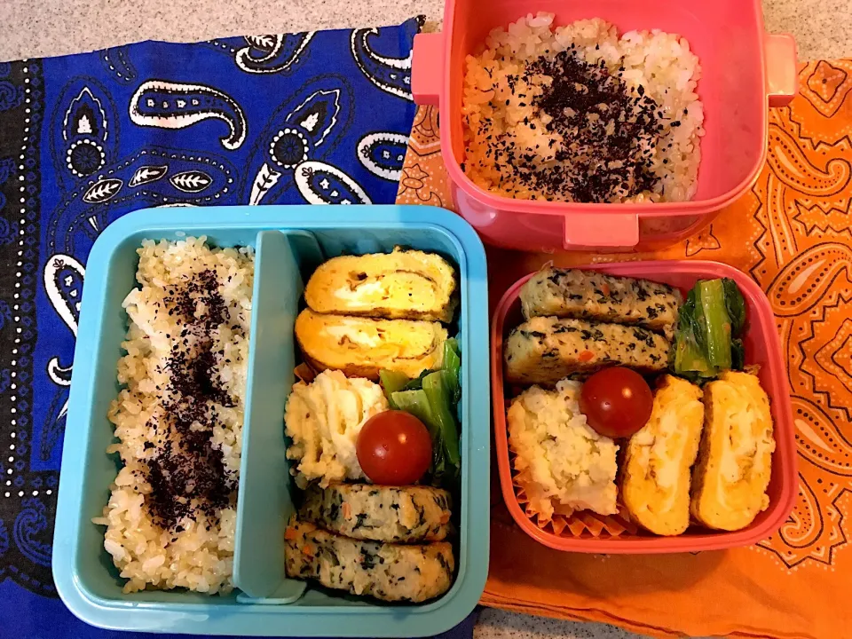 ♫1/26今日のお弁当〜ひじき入りお魚バーグ、だし巻き卵、ポテサラ、青梗菜ごまドレ和え、トマト〜|Satokoさん