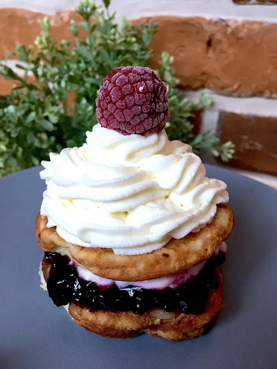 A zase ty lívanečky😜
 #pancake  #whippedcream  #jam  #blueberries  #raspberries|Lenka Posledníさん