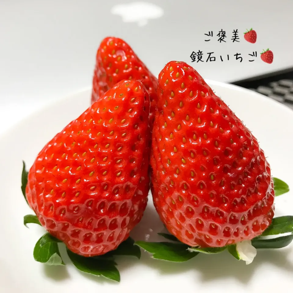 今日のご褒美🍓鏡石いちご🍓20個入り🍓 #鏡石いちご #高さ5センチ #誕プレ #イチゴ|川村大作さん