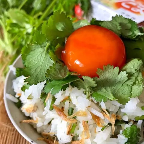 「特許のたまご「とくたま」」を使ってみたSnapdishの料理・レシピ写真:タイ風TKG🇹🇭（パクチー菜飯、生たまご、黄身のナンプラー漬け）