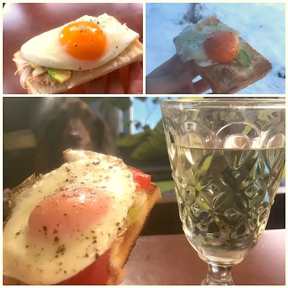 Snapdishの料理写真:Open Sandwiche w/Fried Egg,tuna&Vegetables 🍳ﾂﾅと野菜の目玉焼き乗っけｵｰﾌﾟﾝｻﾝﾄﾞ|🌈Ami🍻さん