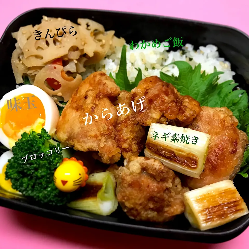 1.31#旦那弁当|mimiさん