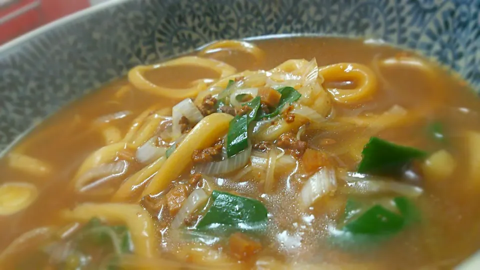 Snapdishの料理写真:昨夜のインスタントのジャージャー麺が旦那に不評だったので、冒険ホット麺
 #和風出汁でのばしてみました|Naomi Furuyaさん