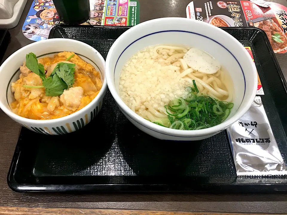 親子丼(ミニ)+はいからうどん|しのぶさん