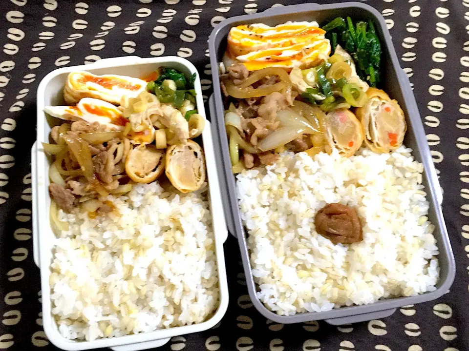 Snapdishの料理写真:今日のお弁当#ダンナ弁当#ジブン弁当|mackyさん