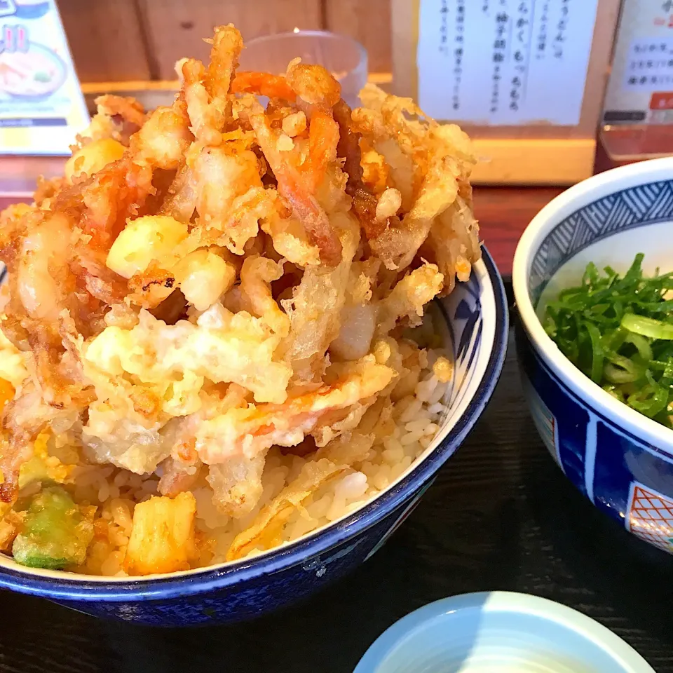 博多うどん 木村屋 海老と帆立貝柱のかき揚げ丼と冷やし小うどんのセット|星猫さん