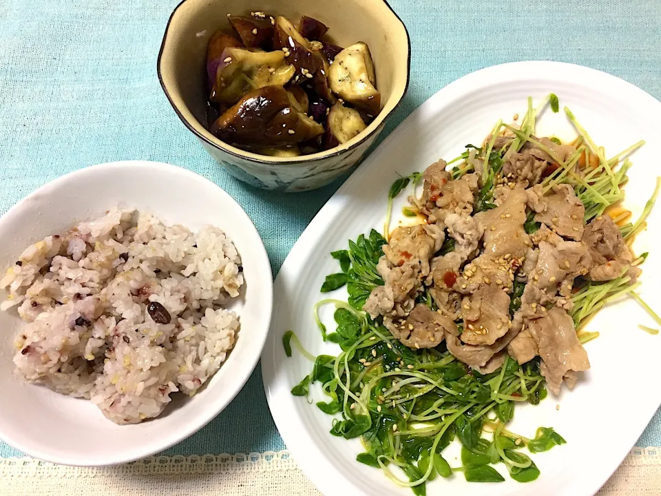 Snapdishの料理写真:豚肉と豆苗のレンジ蒸しコチジャン胡麻ダレがけ、レンチン茄子のゴマ酢醤油あえ|jackybeanさん