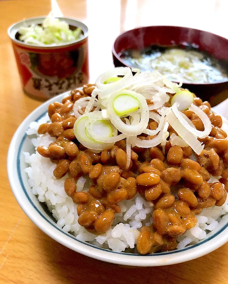 納豆ごはん朝食 節分👹 サバ缶 玉ねぎとジャガイモの味噌汁|ガク魁‼︎男飯さん