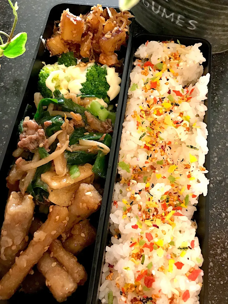 息子のお弁当🍱|シュトママさん