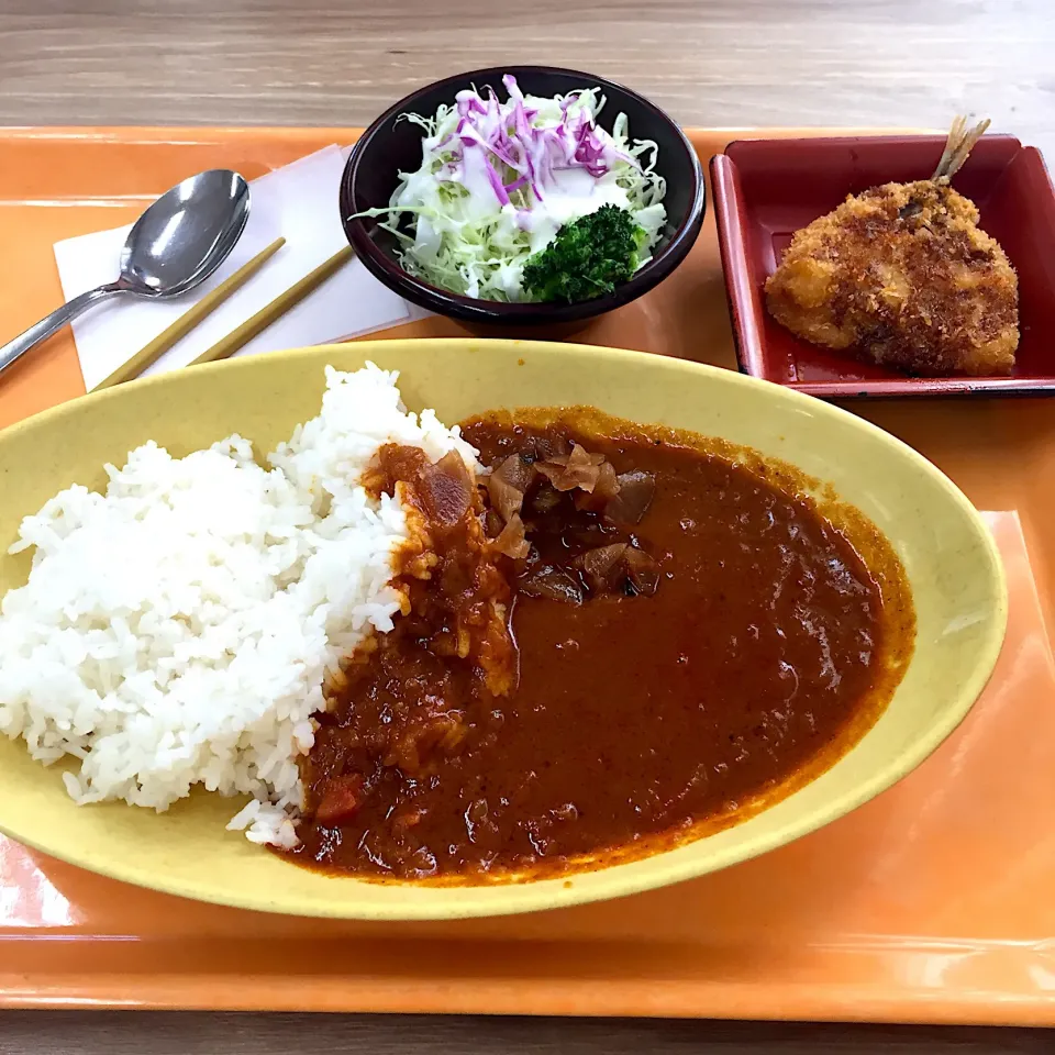 野菜カレー、アジフライ、サラダ*\(^o^)/*|すかラインさん