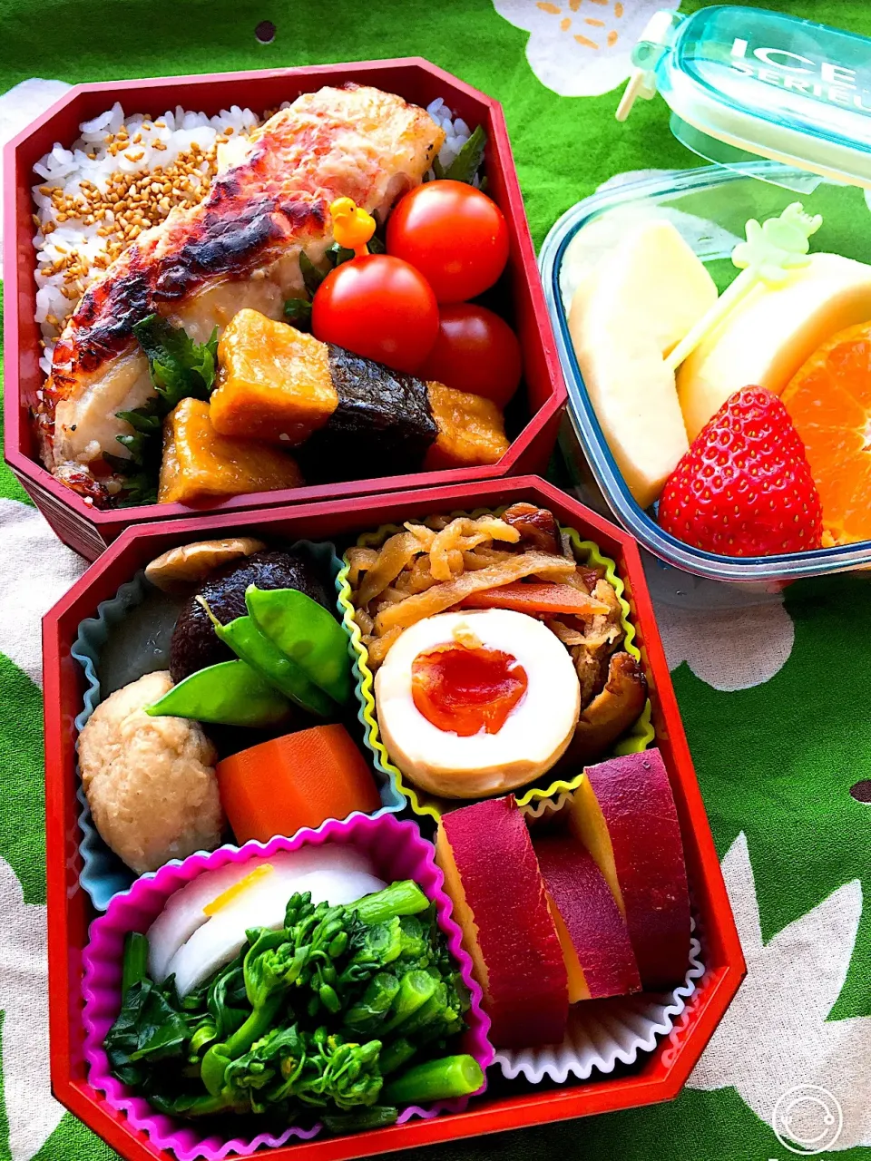 Snapdishの料理写真:#お父さん弁当  #お弁当  
#和食弁当  #お弁当じまん  #ヘルシー弁当  
#赤魚の粕漬け #高野豆腐揚げ 
#野菜多め  #和風煮染め  #菜花のお浸し
#切り干し大根の煮物  #柚子大根漬物  
#さつま芋のレモン煮 
#デザートはフジりんごとイチゴと蜜柑|Blueberry🫐さん