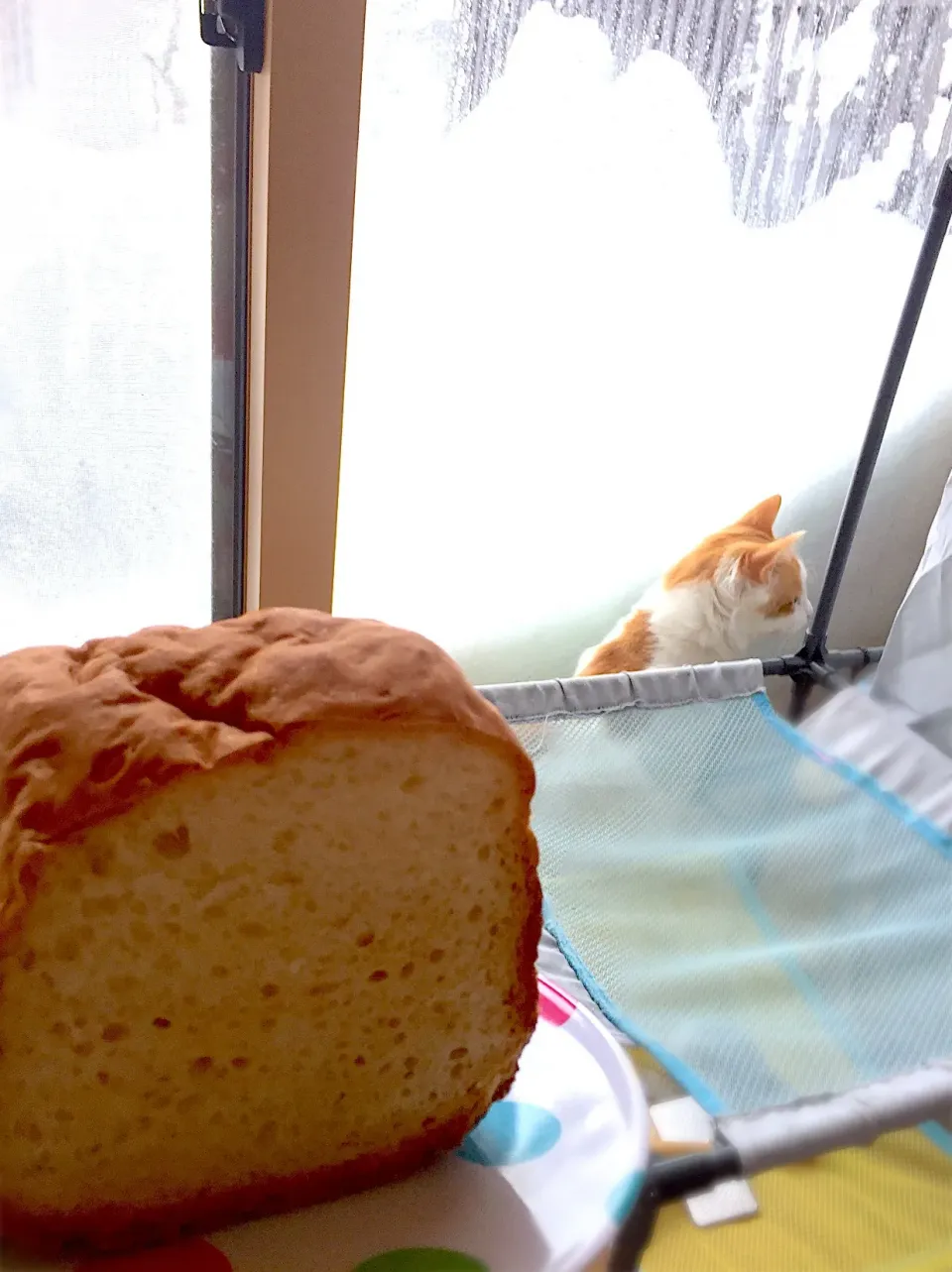 ホームベーカリーで食パン🍞|さくらんぼさん