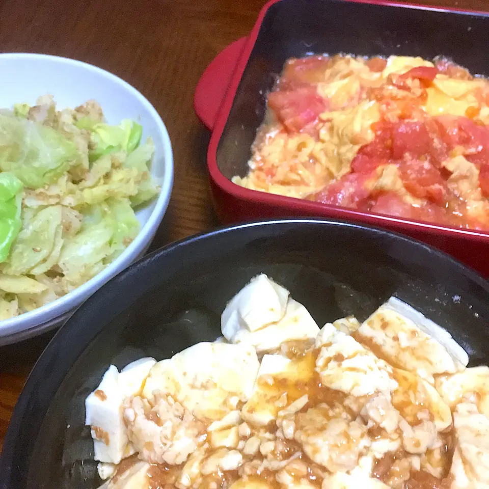 Snapdishの料理写真:麻婆飯(麻婆豆腐の素使用💦)、  #森のたまご で西紅柿炒蛋(トマトのたまご炒め)、キャベツの胡麻和え|星猫さん