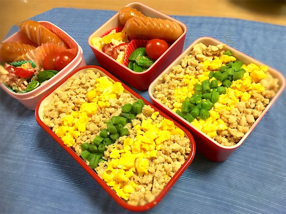 2月８日 娘と奥さん向けお弁当

鶏そぼろ
粗挽きソーセージ
ツナとパプリカのマヨ和え
スナップエンドウ
ミニトマト|高橋陽一さん