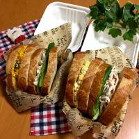 サンドイッチ弁当🥪